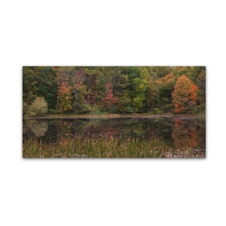Kurt Shaffer 'October On The Pond' Canvas Art,16x32